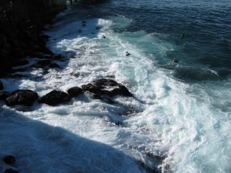 Belle prise de photo