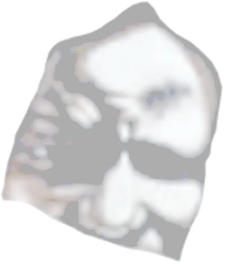 Cheikh Ahmadou Bamba Mbacke